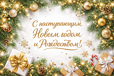 С наступающим Новым годом и Рождеством!